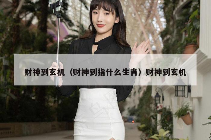 财神到玄机（财神到指什么生肖）财神到玄机